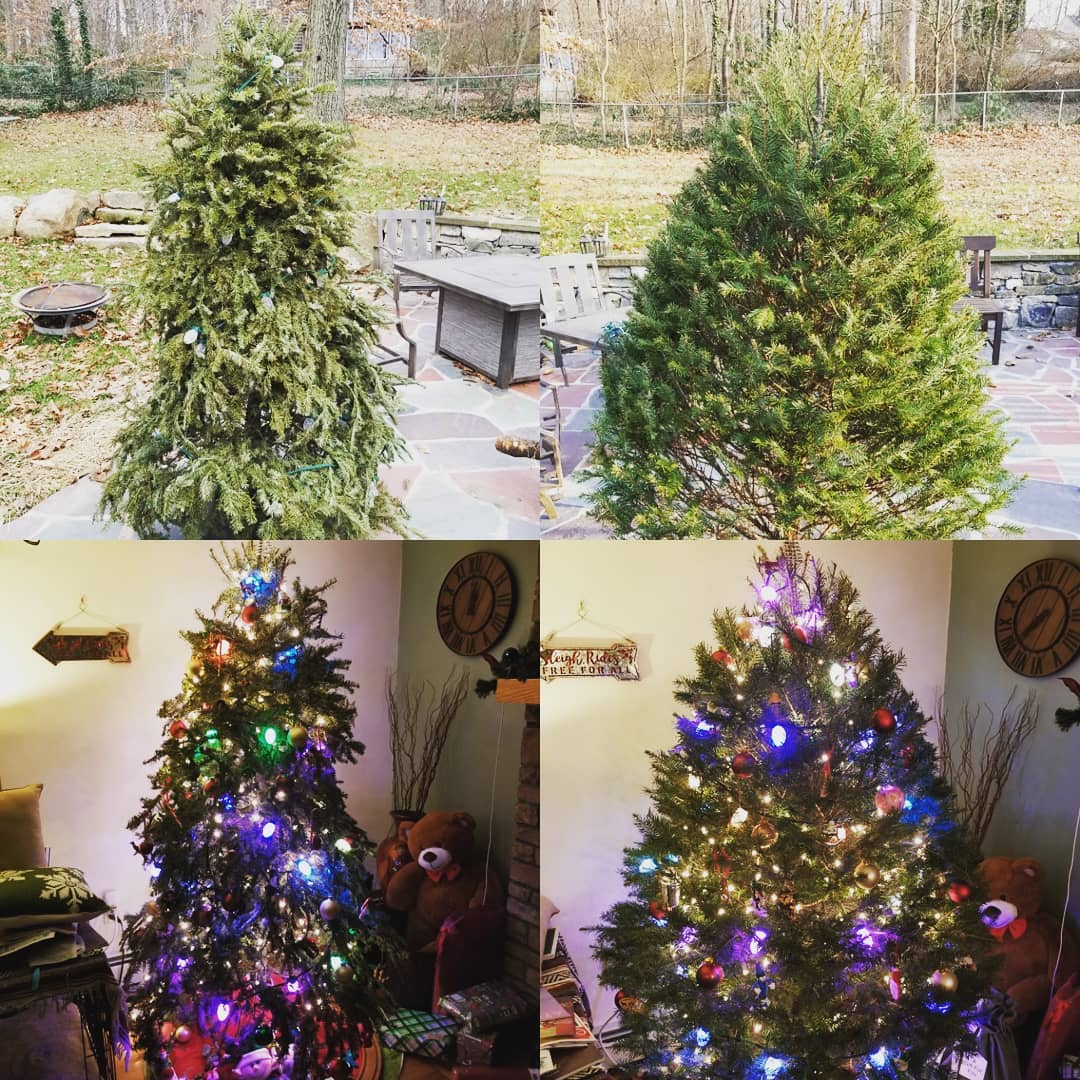 Have you ever met someone who bought a Christmas tree, decorated it, then the tree died, so they had to do it all over again? Well now you have! Merry Christmas! 🎄😭 #fml